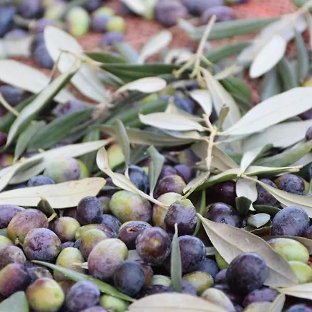 La Gioiosa 호텔 피날레리구레