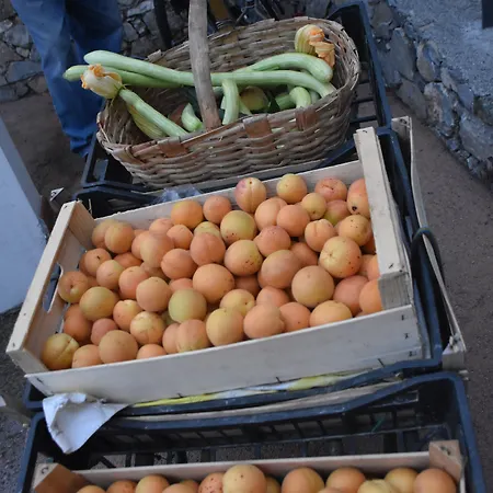 호텔 La Gioiosa 피날레리구레