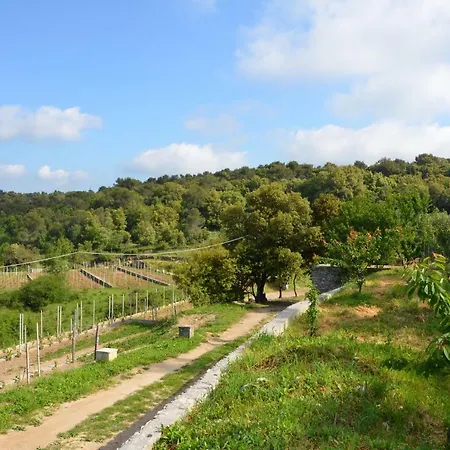 호텔 La Gioiosa 피날레리구레