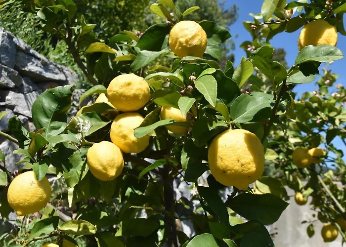 La Gioiosa Szálloda