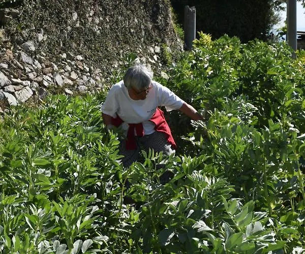 La Gioiosa Szálloda