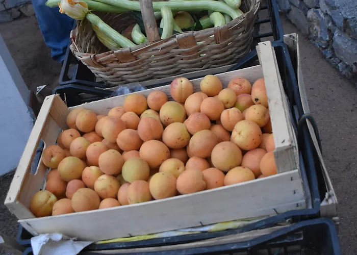 Szálloda La Gioiosa Finale Ligure