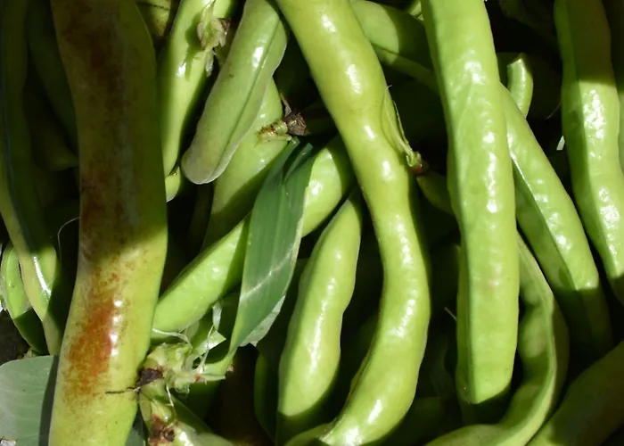 Szálloda La Gioiosa 3*