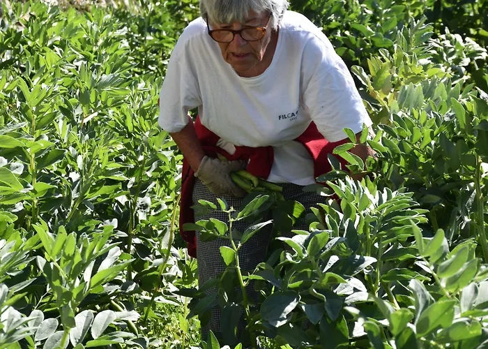 Szálloda La Gioiosa