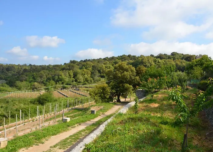 Szálloda La Gioiosa Finale Ligure