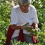 La Gioiosa 3*