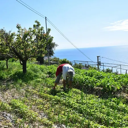 Отель La Gioiosa 3*