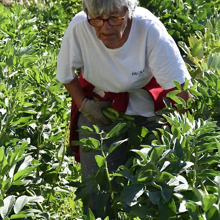 Отель La Gioiosa