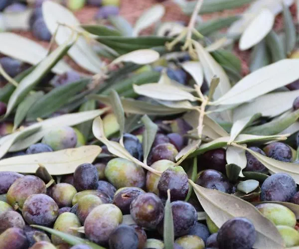 La Gioiosa Hotel Finale Ligure